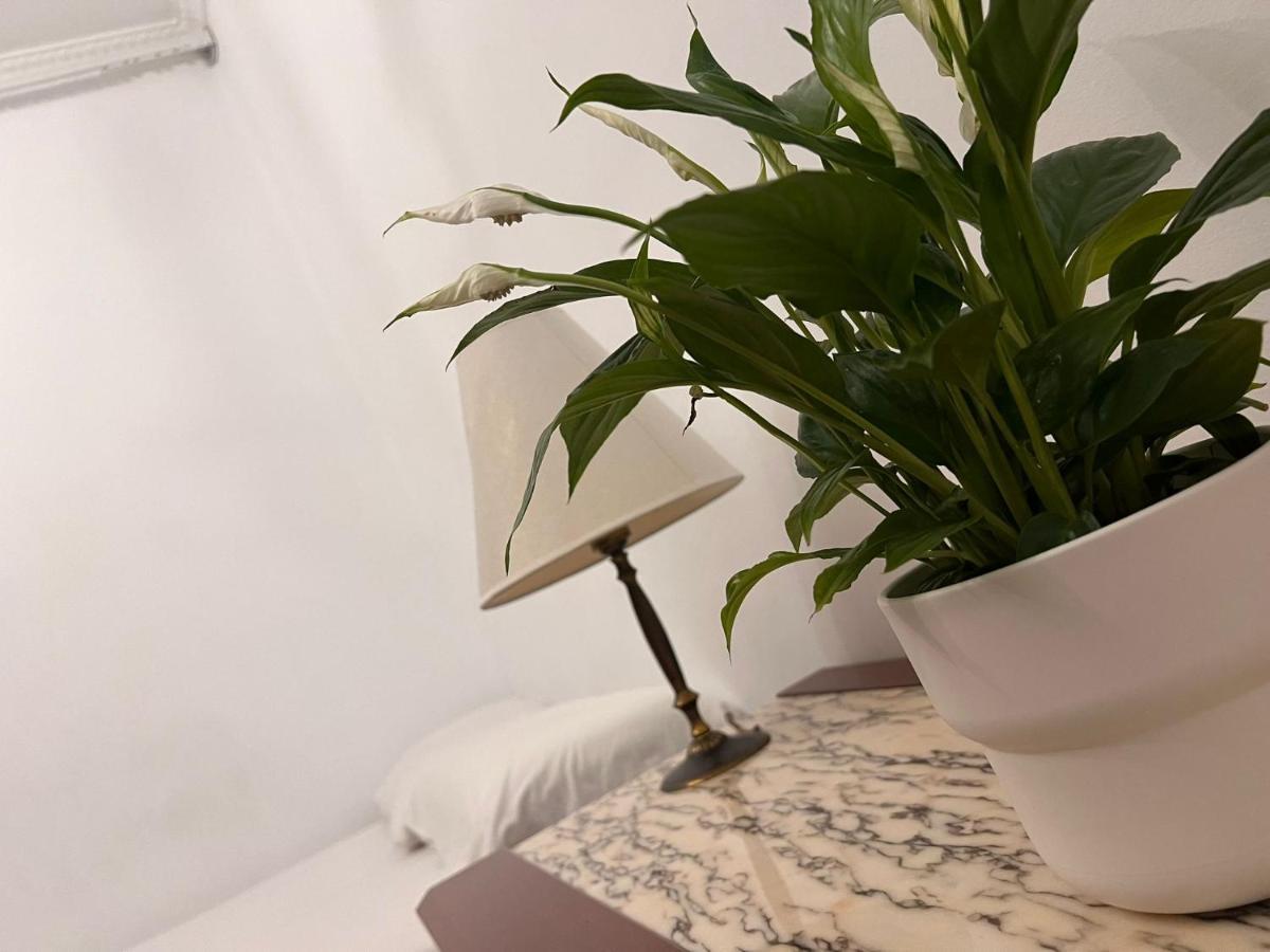 Room Familiar Sants 巴塞罗那 外观 照片